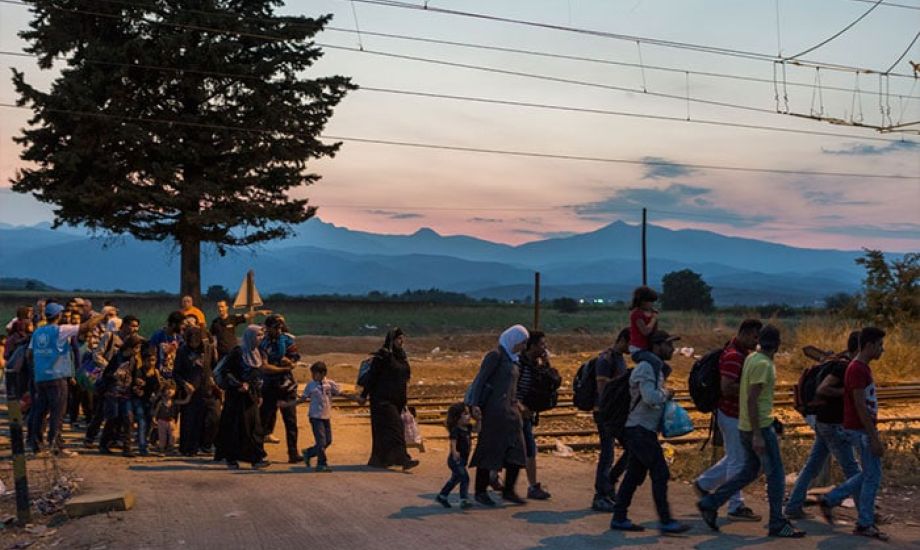 OSN: Nejvíce migrantů žije v USA