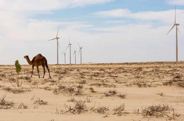 Začíná konference stran Rámcové úmluvy o změně klimatu COP25