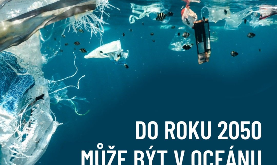 Musíme zvrátit chřadnutí světového oceánu